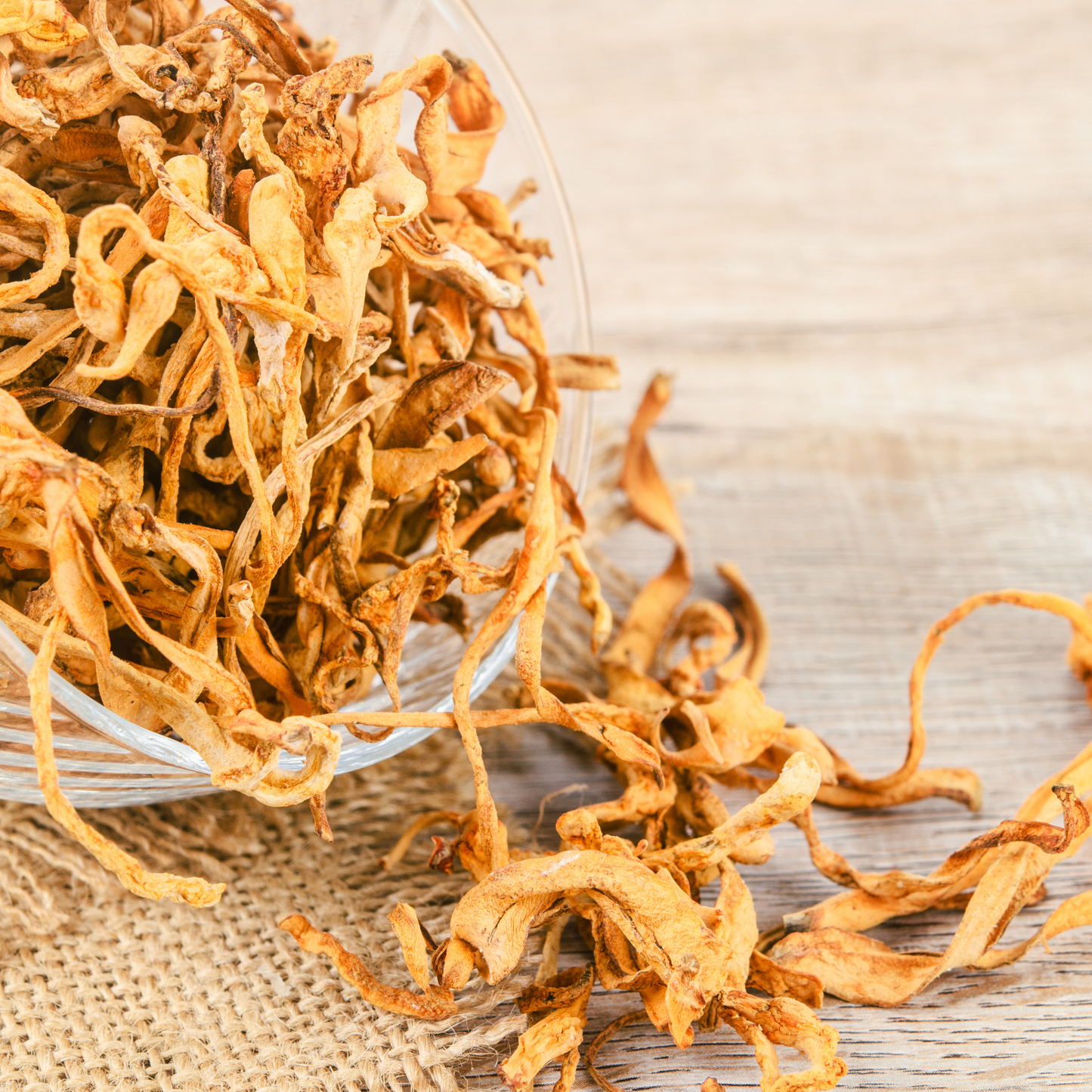 DRIED CORDYCEPS FLOWER 1X16OZ 新會孢子頭虫草花