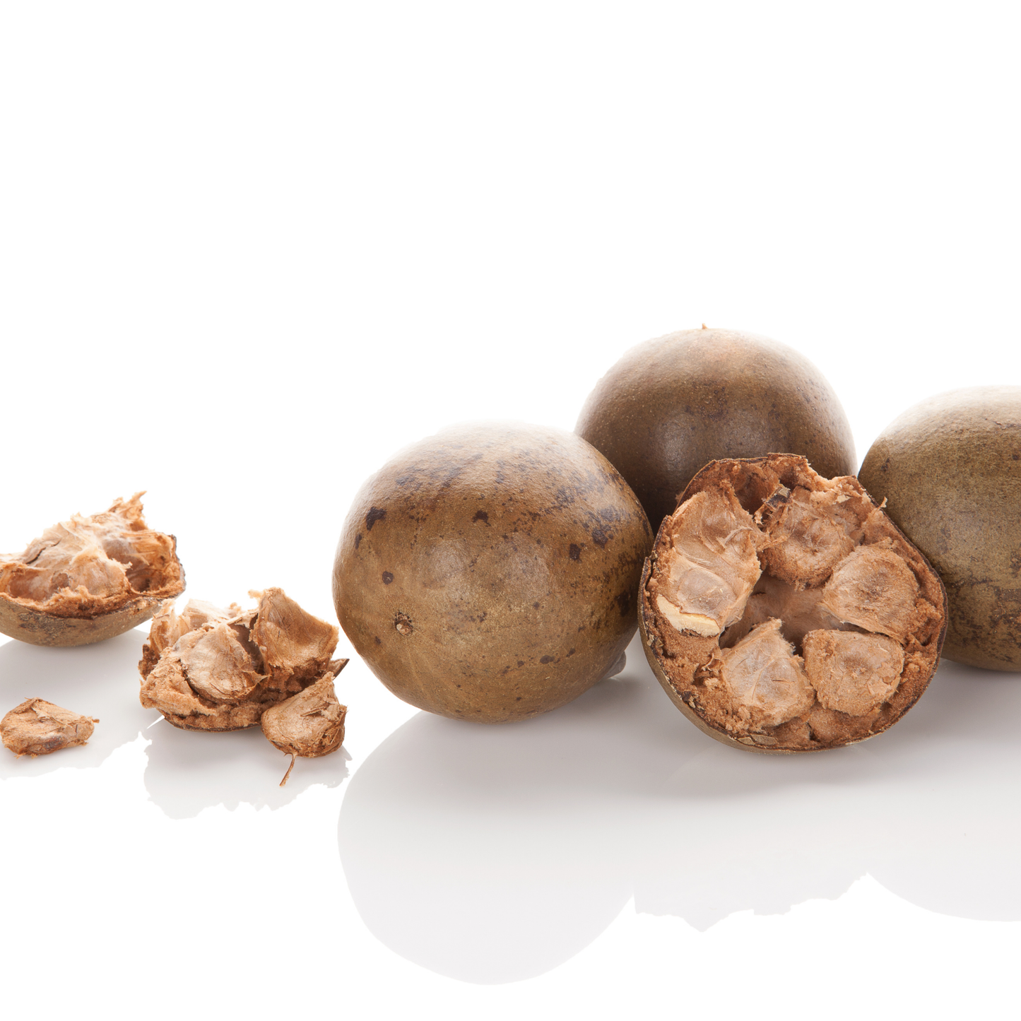 Lohanguo Siraitia Fruit (BIG) 130PCS 羅漢果