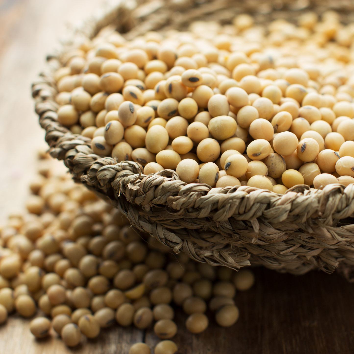 Soy Bean (黄豆) - (60LB)