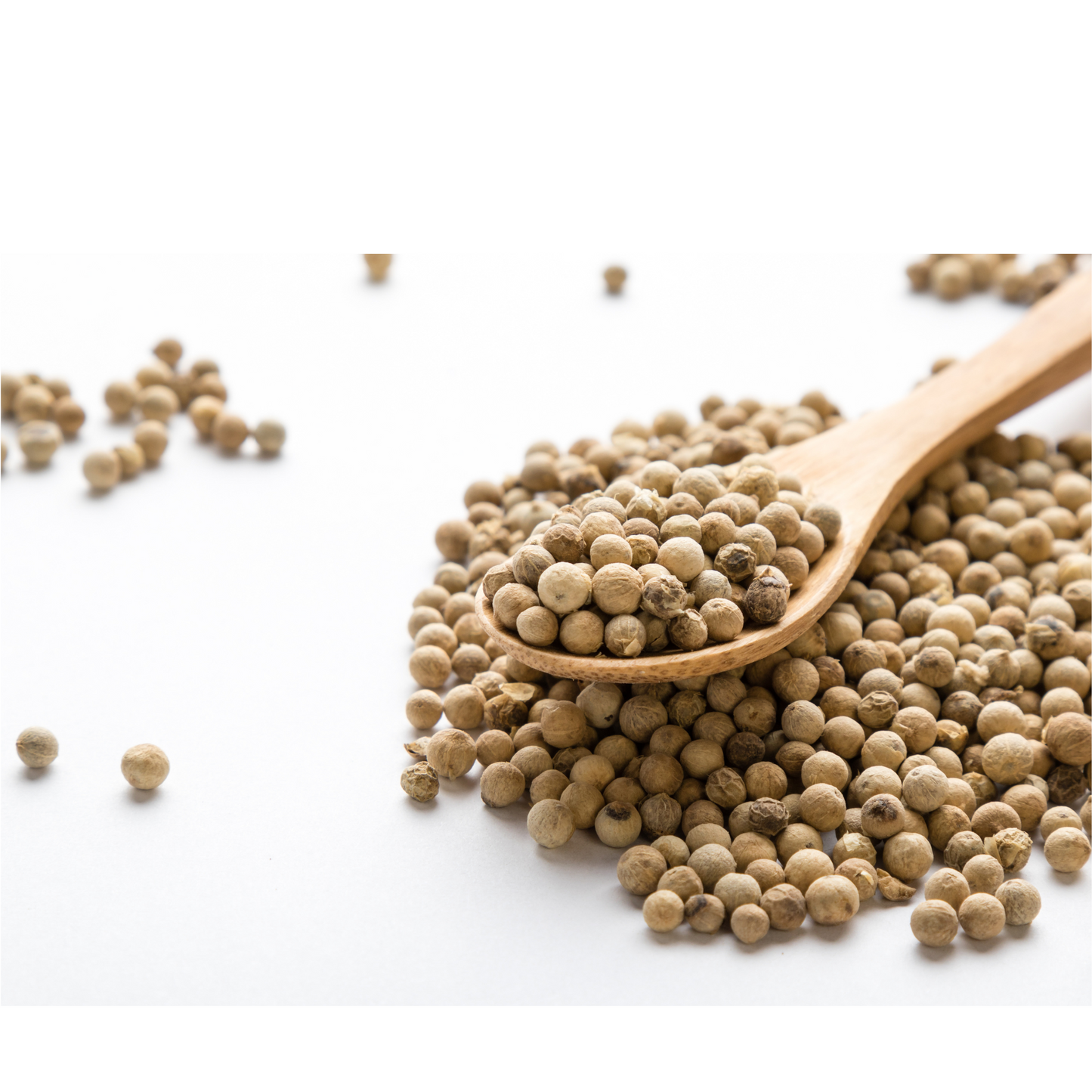 WHITE PEPPER CORN - 1X5 lb 白胡椒粒