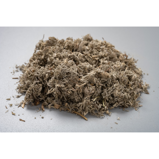 Capillary Wormwood (绵茵陈) - (LB)