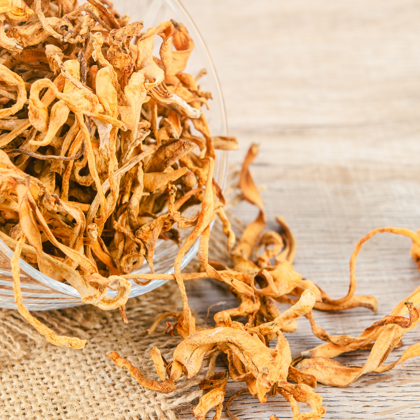 DRIED CORDYCEPS FLOWER 1X12KG 孢子虫草花