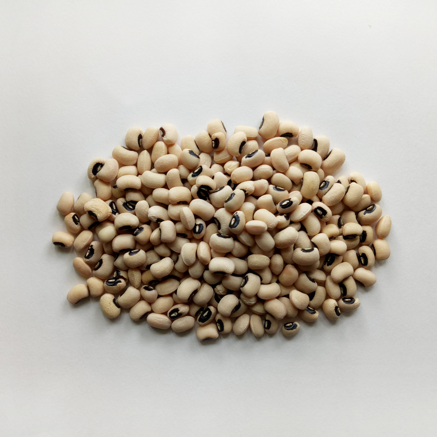 Cowpeas Bean (眉豆) - (50LB)