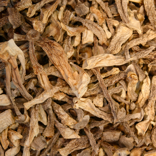 Dried Valvet Mushroom HW - (鹿茸菇) (16oz)