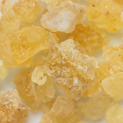 Gum Tragacanth (雪燕) - (16oz)