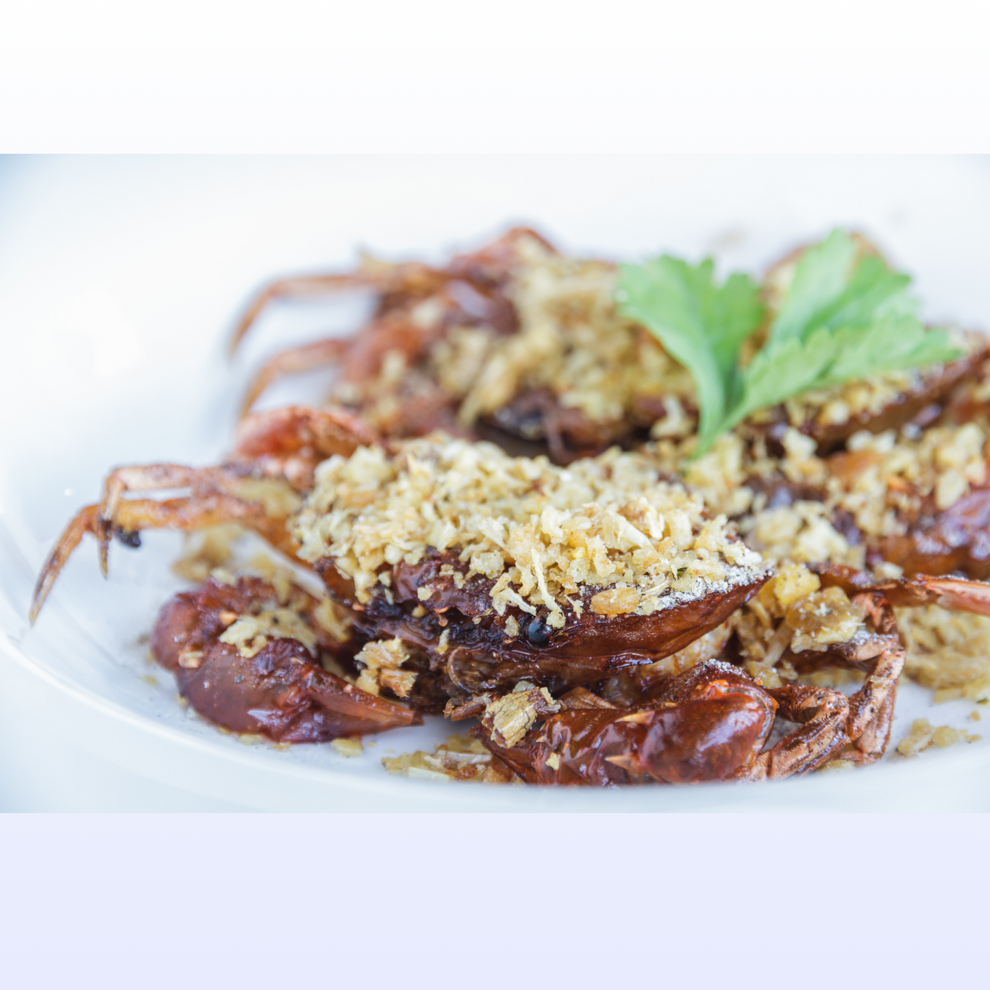 Soft Shell Crab (急凍.軟殼蟹) - (10pc)x10