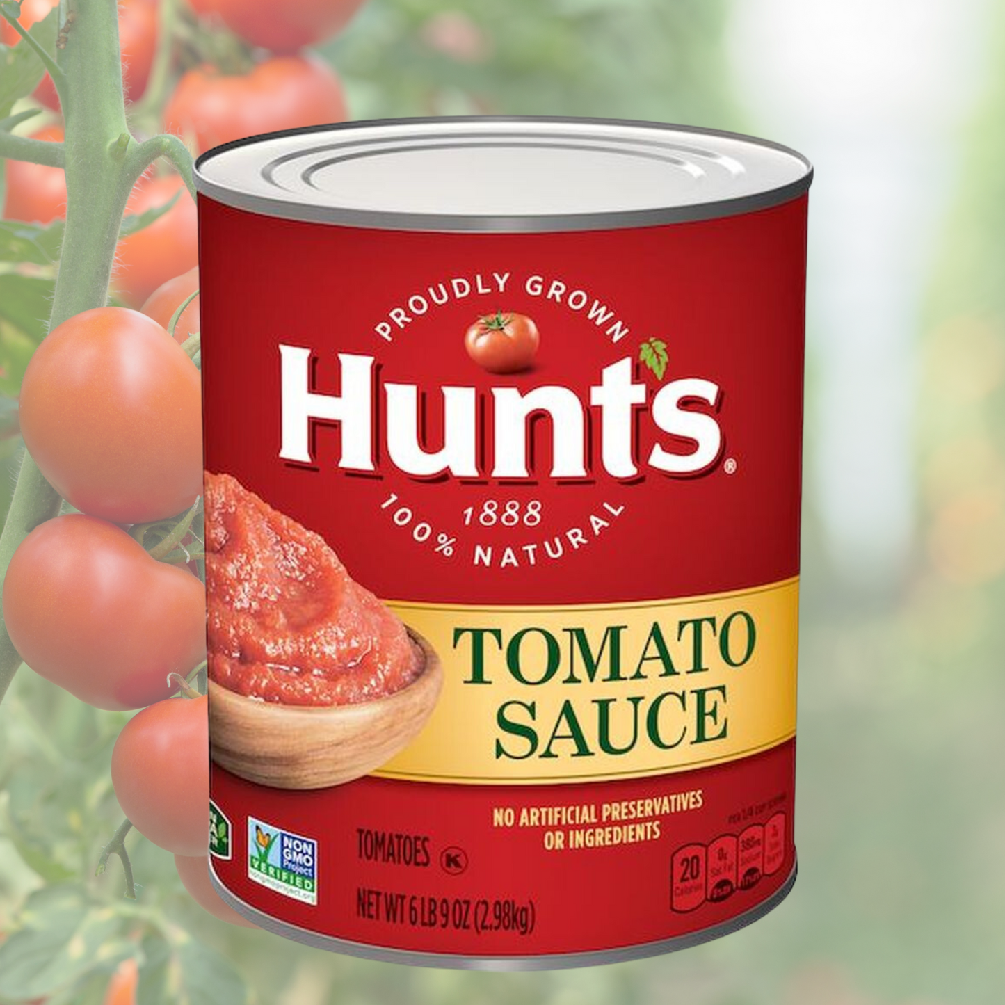 Tomato Sauce - (Hunts) (番茄醬) - (33.5oz)x6